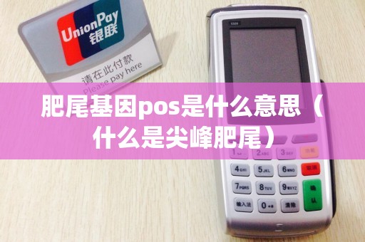 肥尾基因pos是什么意思（什么是尖峰肥尾）