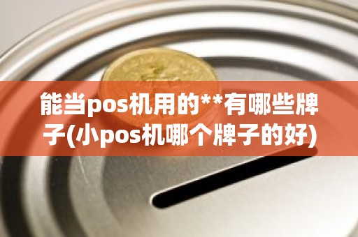 能当pos机用的**有哪些牌子(小pos机哪个牌子的好)