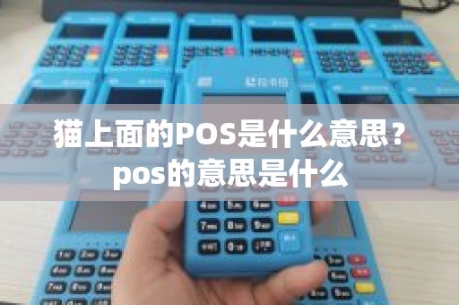 猫上面的POS是什么意思？pos的意思是什么