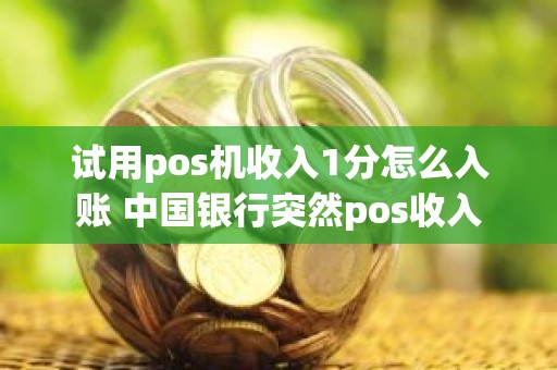 试用pos机收入1分怎么入账 中国银行突然pos收入 试用pos机收入1分怎么入账 中国银行突然pos收入