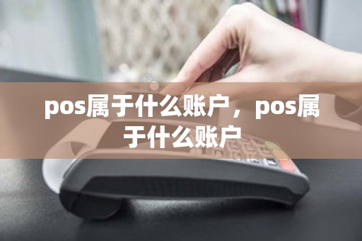pos属于什么账户，pos属于什么账户