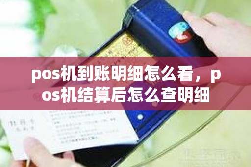 pos机到账明细怎么看，pos机结算后怎么查明细