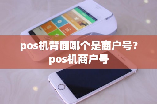 pos机背面哪个是商户号？pos机商户号