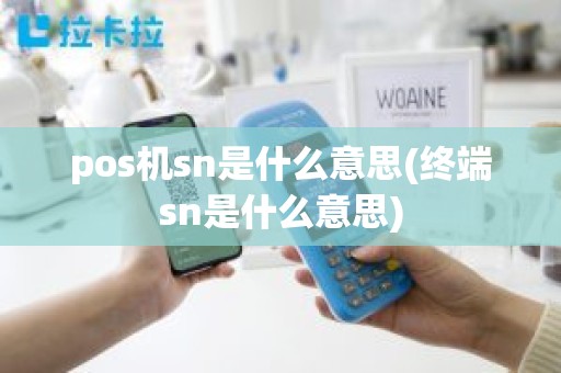 pos机sn是什么意思(终端sn是什么意思)