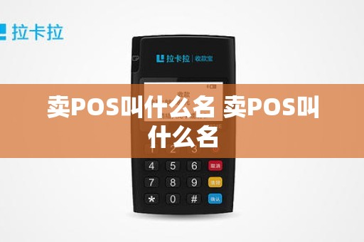 卖POS叫什么名 卖POS叫什么名