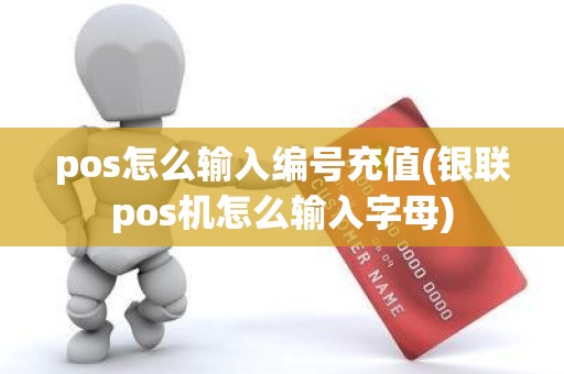 pos怎么输入编号充值(银联pos机怎么输入字母)