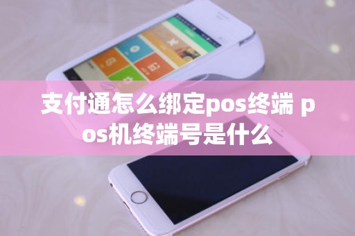 支付通怎么绑定pos终端 pos机终端号是什么