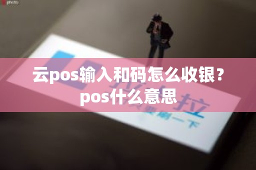 云pos输入和码怎么收银？pos什么意思