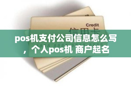 pos机支付公司信息怎么写，个人pos机 商户起名