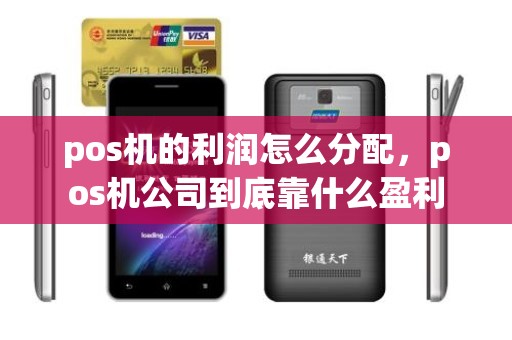 pos机的利润怎么分配，pos机公司到底靠什么盈利