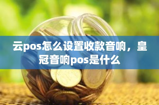 云pos怎么设置收款音响，皇冠音响pos是什么