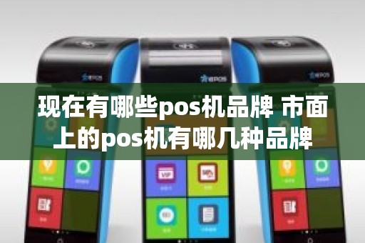 现在有哪些pos机品牌 市面上的pos机有哪几种品牌