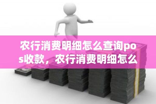 农行消费明细怎么查询pos收款，农行消费明细怎么查询pos收款