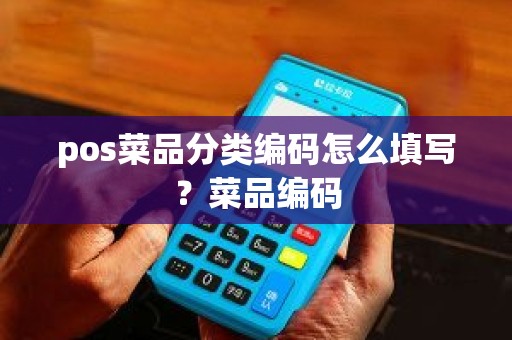 pos菜品分类编码怎么填写？菜品编码