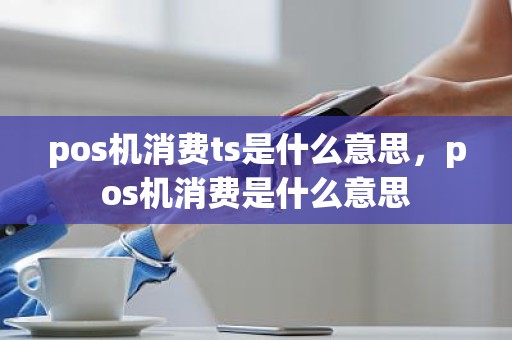 pos机消费ts是什么意思，pos机消费是什么意思