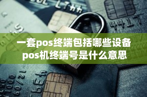 一套pos终端包括哪些设备 pos机终端号是什么意思