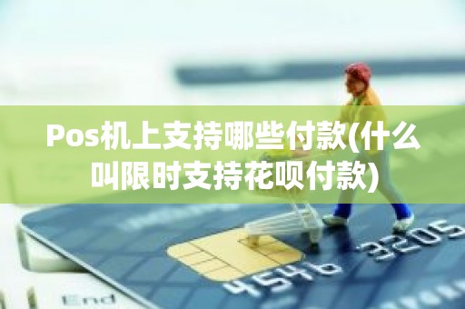 Pos机上支持哪些付款(什么叫限时支持花呗付款)