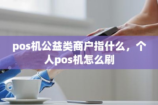 pos机公益类商户指什么，个人pos机怎么刷