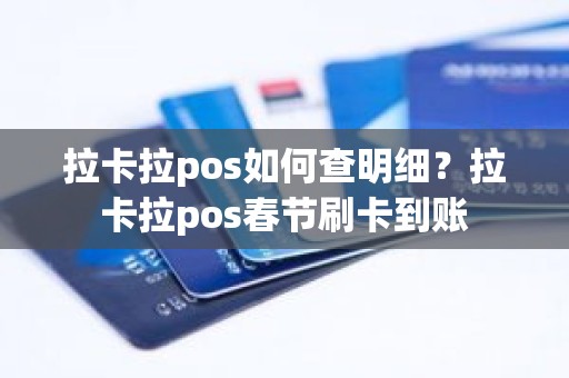 拉卡拉pos如何查明细？拉卡拉pos春节刷卡到账