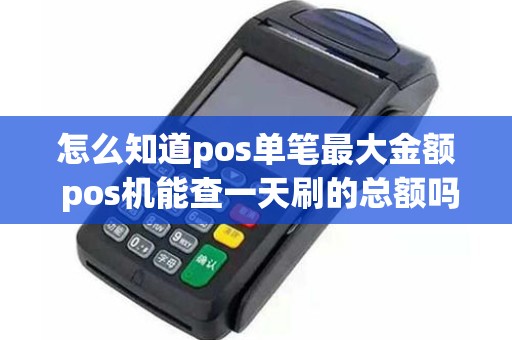 怎么知道pos单笔最大金额 pos机能查一天刷的总额吗