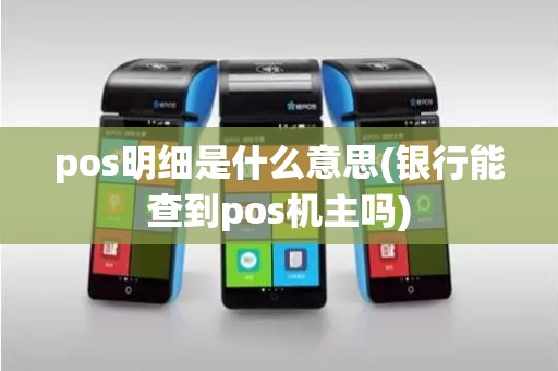 pos明细是什么意思(银行能查到pos机主吗)