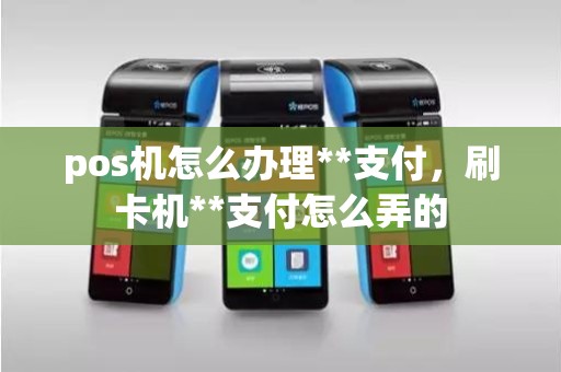 pos机怎么办理**支付，刷卡机**支付怎么弄的