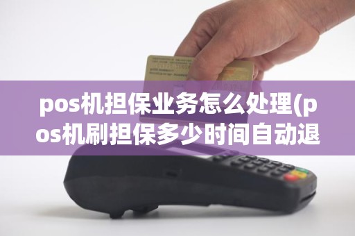 pos机担保业务怎么处理(pos机刷担保多少时间自动退回)