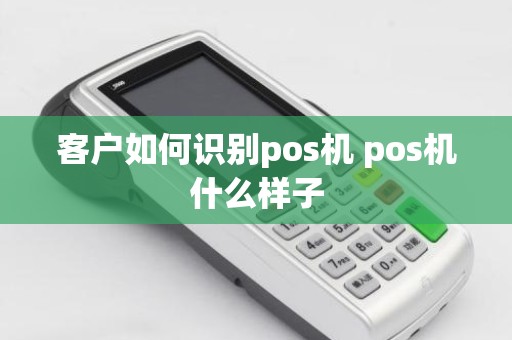 客户如何识别pos机 pos机什么样子