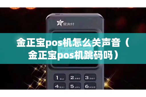 金正宝pos机怎么关声音（金正宝pos机跳码吗）
