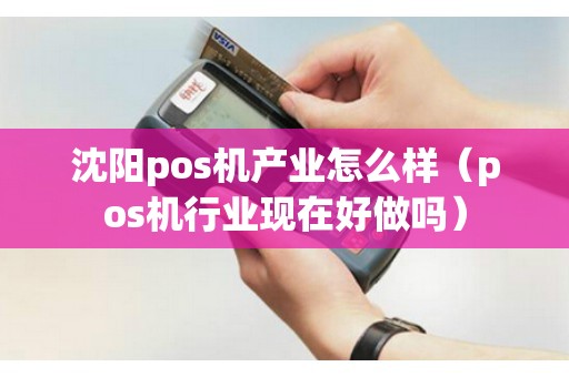 沈阳pos机产业怎么样（pos机行业现在好做吗）