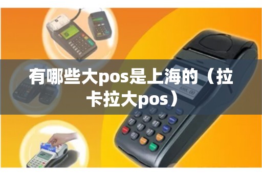 有哪些大pos是上海的（拉卡拉大pos）
