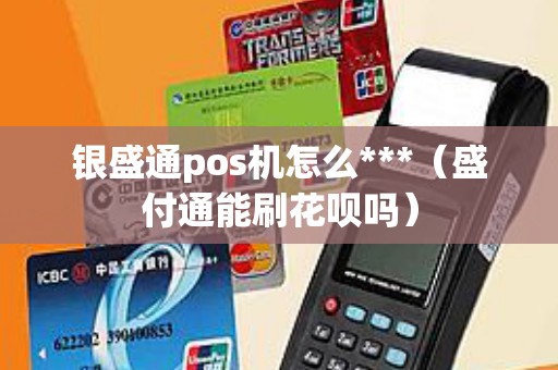 银盛通pos机怎么***（盛付通能刷花呗吗）
