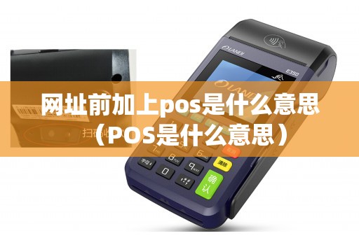 网址前加上pos是什么意思（POS是什么意思）