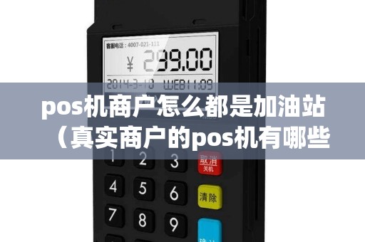pos机商户怎么都是加油站（真实商户的pos机有哪些）