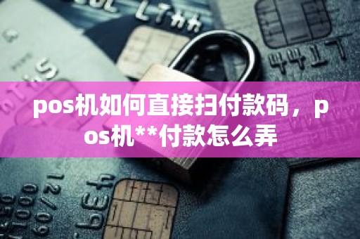pos机如何直接扫付款码，pos机**付款怎么弄