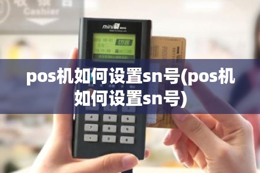 pos机如何设置sn号(pos机如何设置sn号)