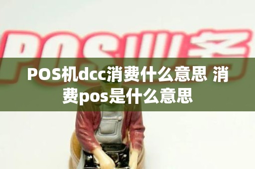 POS机dcc消费什么意思 消费pos是什么意思