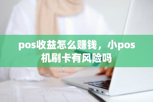 pos收益怎么赚钱，小pos机刷卡有风险吗