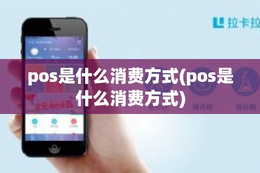 pos是什么消费方式(pos是什么消费方式)