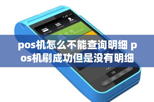 pos机怎么不能查询明细 pos机刷成功但是没有明细