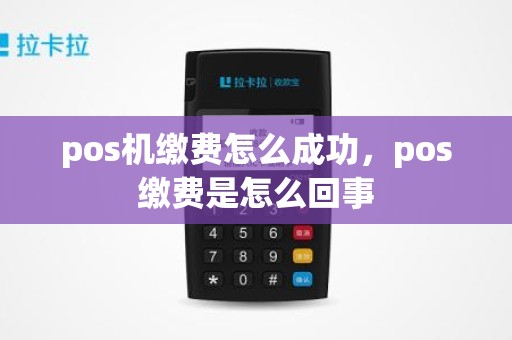 pos机缴费怎么成功，pos缴费是怎么回事