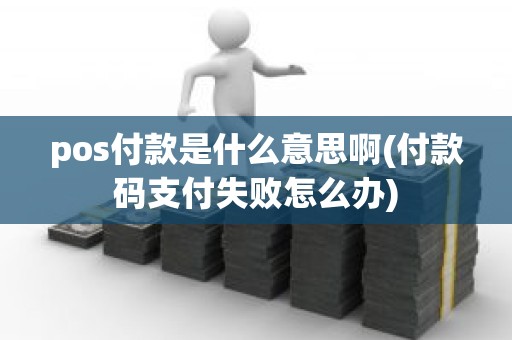 pos付款是什么意思啊(付款码支付失败怎么办)
