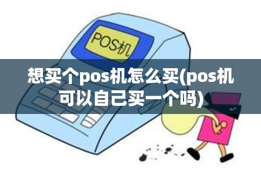 想买个pos机怎么买(pos机可以自己买一个吗)