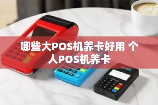 哪些大POS机养卡好用 个人POS机养卡