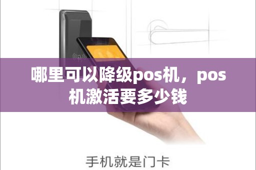 哪里可以降级pos机，pos机激活要多少钱