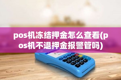 pos机冻结押金怎么查看(pos机不退押金报警管吗)