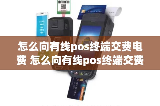 怎么向有线pos终端交费电费 怎么向有线pos终端交费电费
