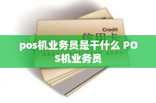 pos机业务员是干什么 POS机业务员