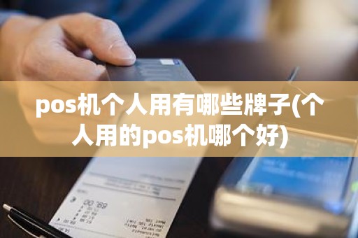 pos机个人用有哪些牌子(个人用的pos机哪个好)