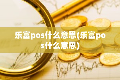 乐富pos什么意思(乐富pos什么意思)